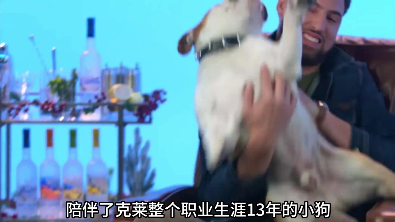 陪伴克萊13年的小狗去世了，不敢相信克萊得多么傷心